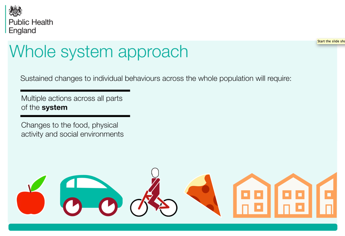 Details View Adopt A Whole Systems Approach To Obesity